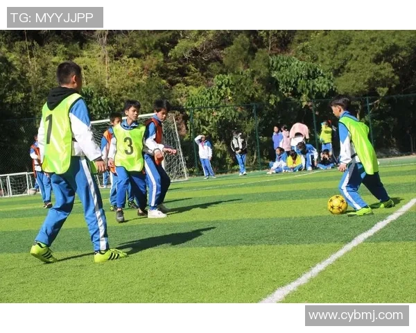 小团团的足球明星梦：追逐绿茵场上的偶像与激情